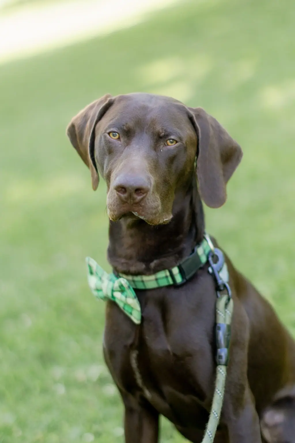 Bentley Roscoe Brown